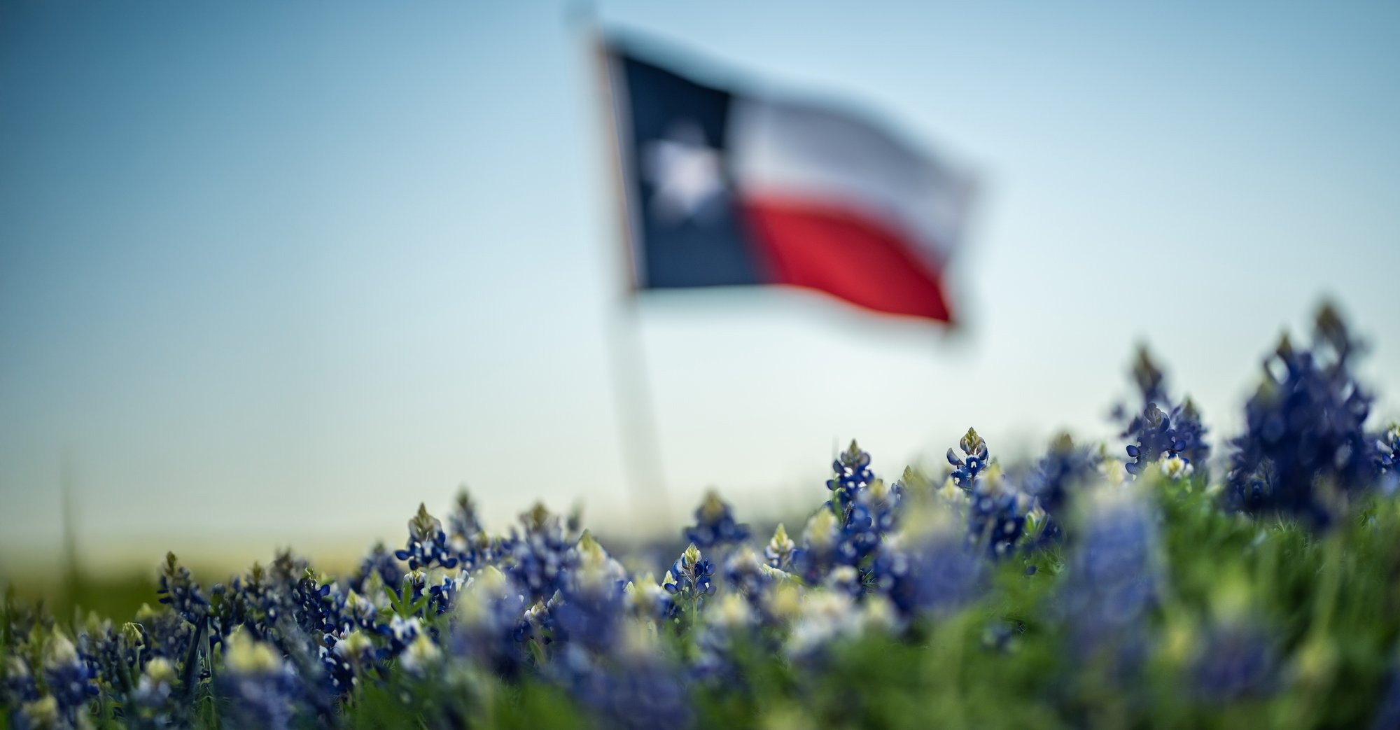 dc9f0f1c9f425c4ba8a1ccb4be358f3cd7e638ff